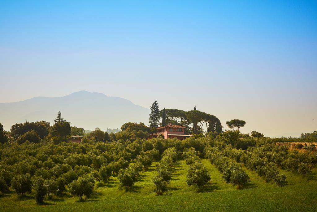 Villa La Tartaruga Sabina Palombara Sabina Dış mekan fotoğraf